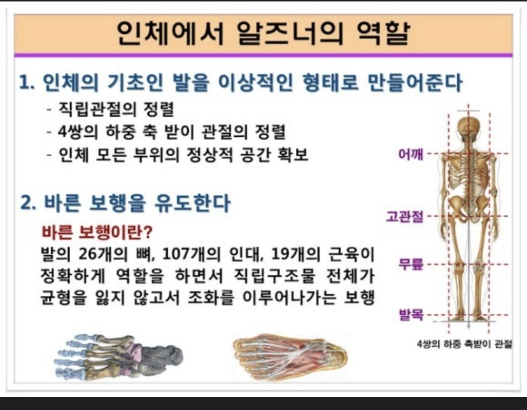 3067302113_5o8Lkym1_446c2a28db0bbacc67bccfb647db54cad2791d65.jpg 이미지크게보기