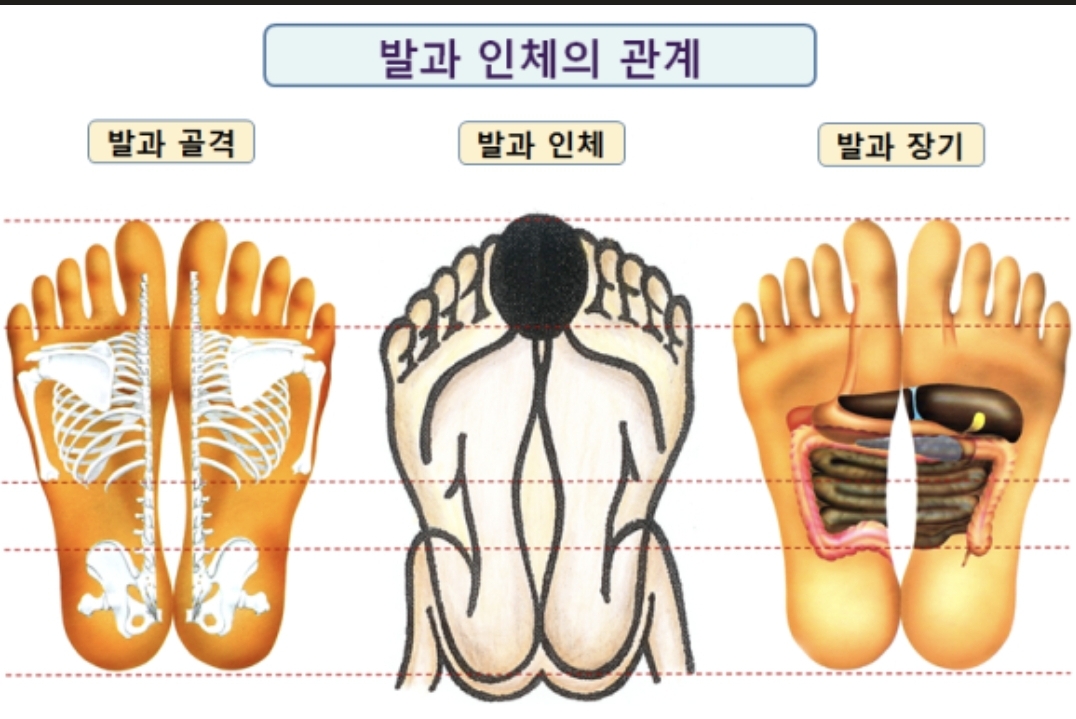 3067302113_9UgrTnFC_11a29ded45d43565eb02e7e469cc1fa59538a865.jpg 이미지크게보기