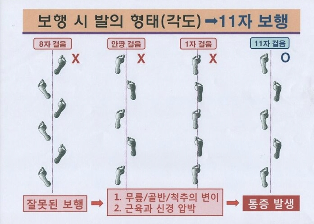 3067302113_9nB7kPjE_bfa4940e552876106114bccea34c5a6b5367444a.jpg 이미지크게보기