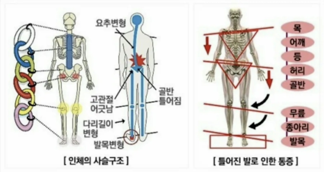 3067302113_mkF8Zouj_9b03751ffe68f10b2e0f1a72d19871db8e012971.jpg 이미지크게보기
