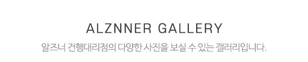 알즈너건행대리점_